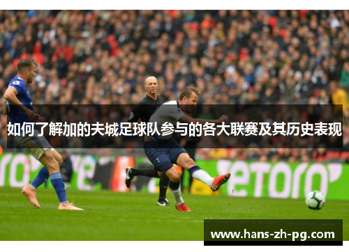 如何了解加的夫城足球队参与的各大联赛及其历史表现